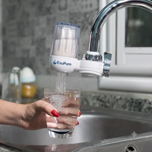 فيلتر تنقية المياه - Filtre de purification d'eau